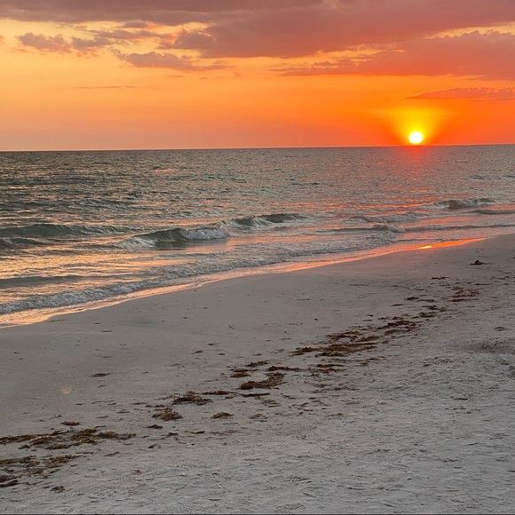 Meet your Posher, Chrissy - Picture 1 of 1